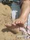 Piedini al mare